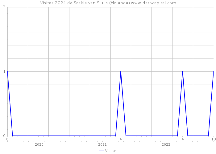 Visitas 2024 de Saskia van Sluijs (Holanda) 