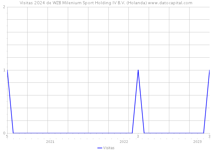 Visitas 2024 de WZB Milenium Sport Holding IV B.V. (Holanda) 