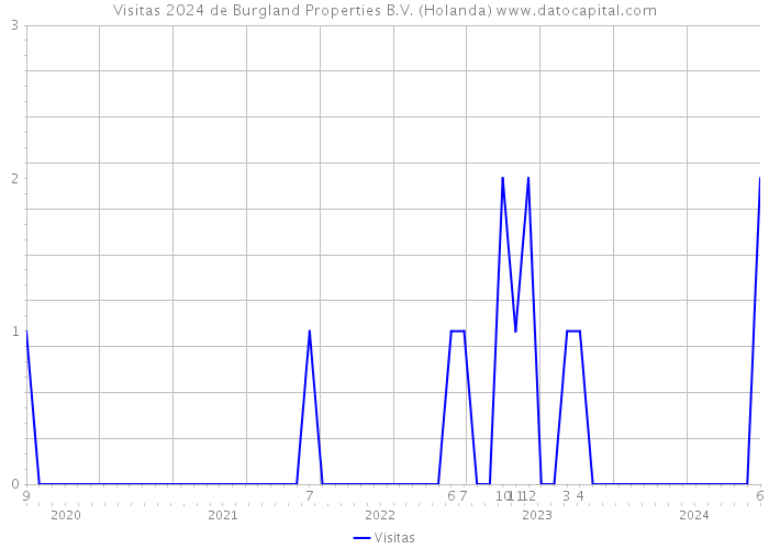 Visitas 2024 de Burgland Properties B.V. (Holanda) 