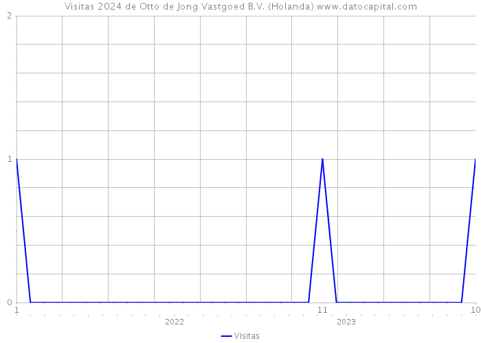 Visitas 2024 de Otto de Jong Vastgoed B.V. (Holanda) 