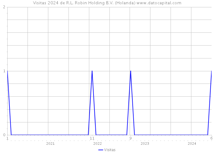 Visitas 2024 de R.L. Robin Holding B.V. (Holanda) 