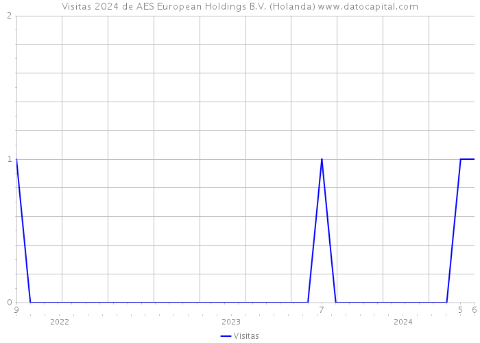 Visitas 2024 de AES European Holdings B.V. (Holanda) 