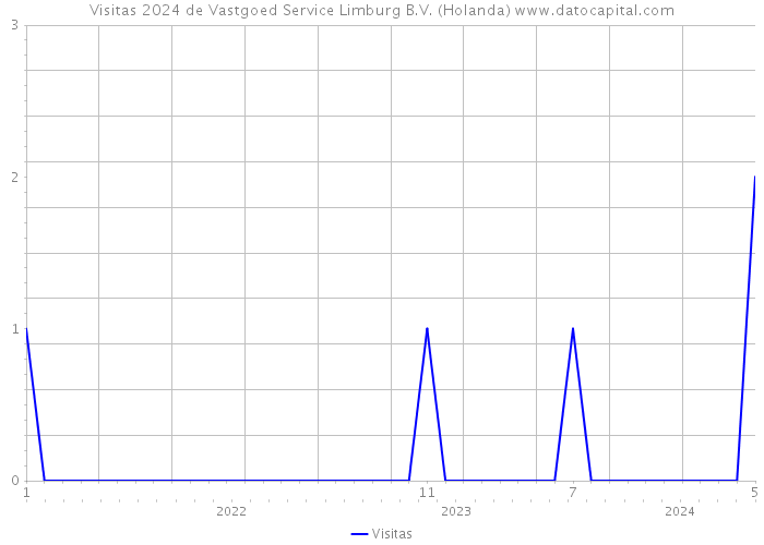 Visitas 2024 de Vastgoed Service Limburg B.V. (Holanda) 