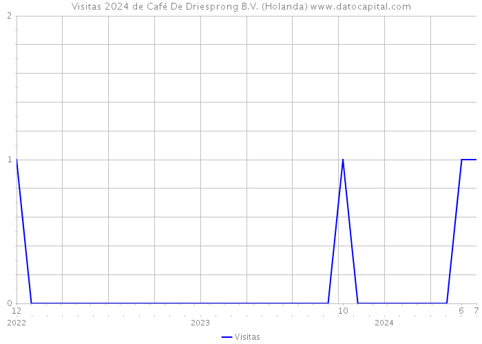 Visitas 2024 de Café De Driesprong B.V. (Holanda) 