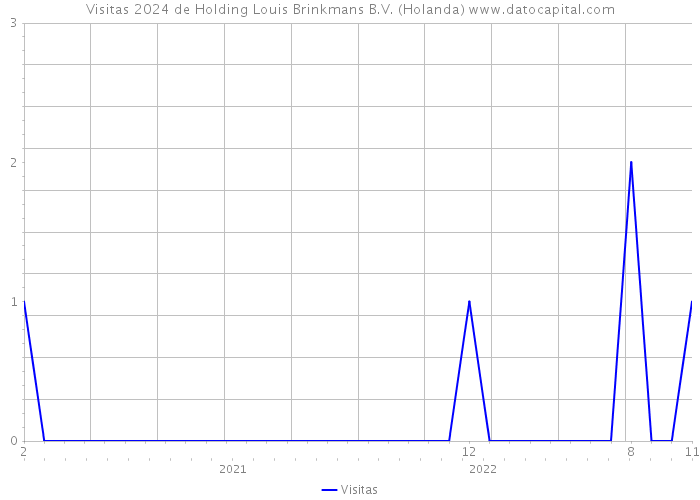 Visitas 2024 de Holding Louis Brinkmans B.V. (Holanda) 