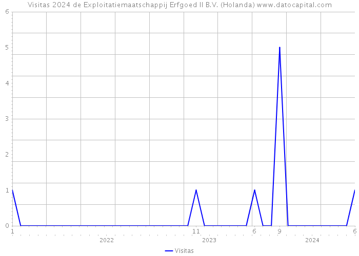 Visitas 2024 de Exploitatiemaatschappij Erfgoed II B.V. (Holanda) 