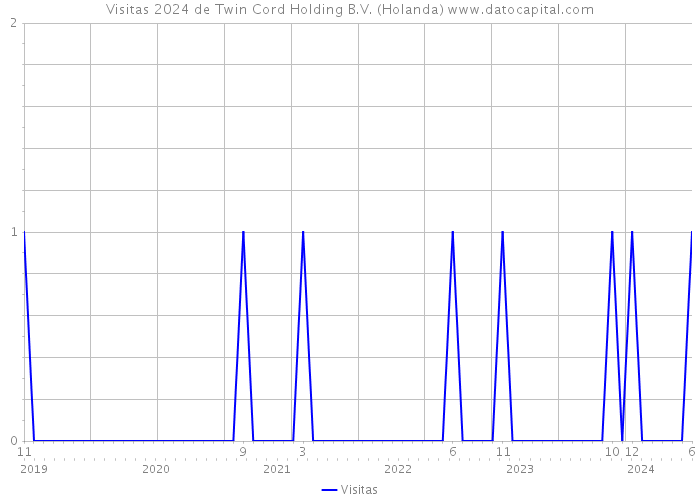 Visitas 2024 de Twin Cord Holding B.V. (Holanda) 