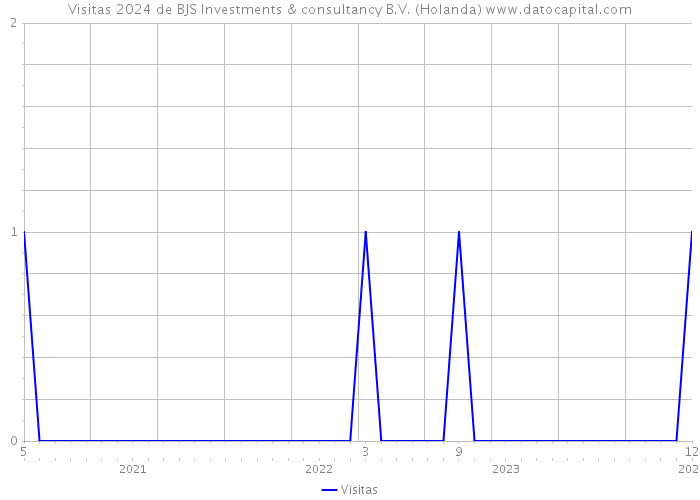 Visitas 2024 de BJS Investments & consultancy B.V. (Holanda) 