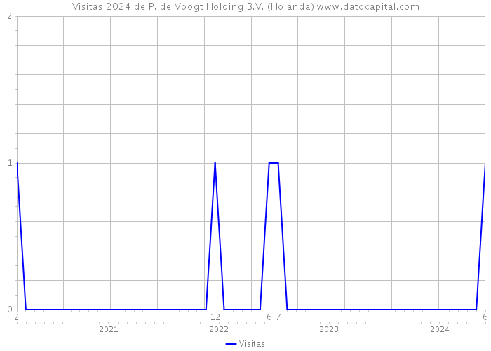 Visitas 2024 de P. de Voogt Holding B.V. (Holanda) 