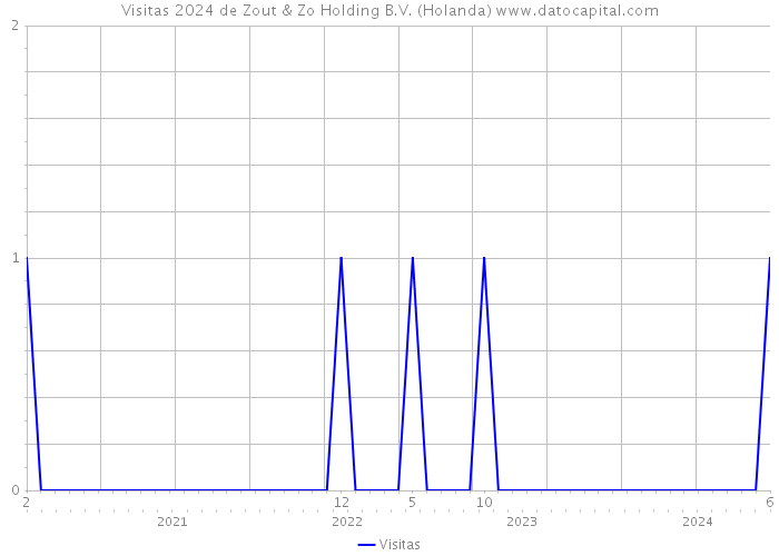 Visitas 2024 de Zout & Zo Holding B.V. (Holanda) 