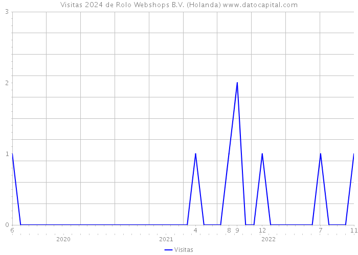Visitas 2024 de Rolo Webshops B.V. (Holanda) 