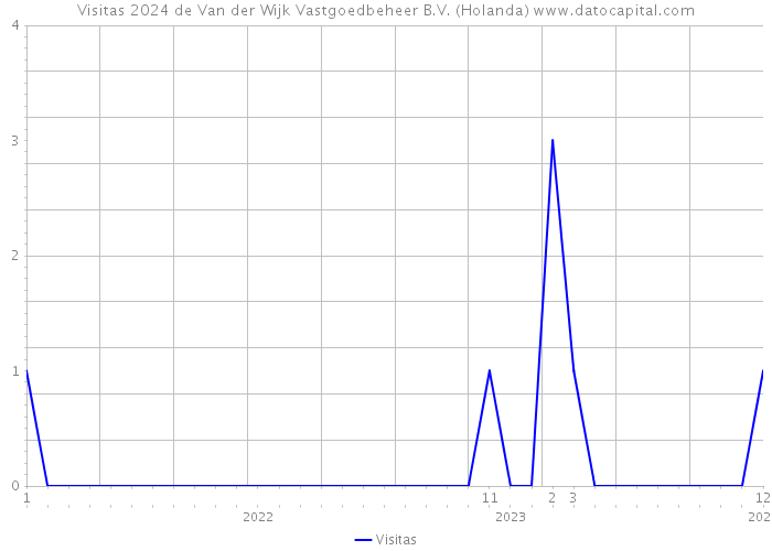 Visitas 2024 de Van der Wijk Vastgoedbeheer B.V. (Holanda) 