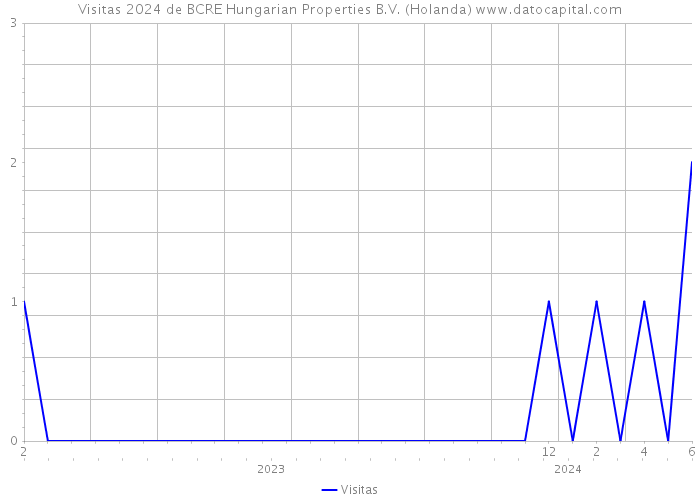 Visitas 2024 de BCRE Hungarian Properties B.V. (Holanda) 