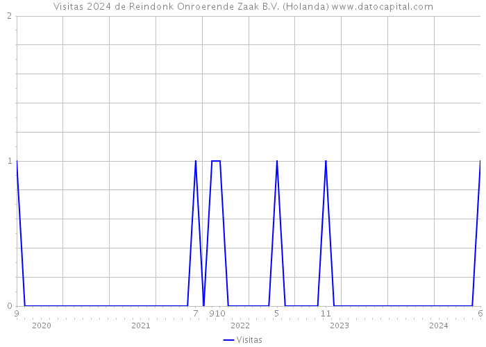 Visitas 2024 de Reindonk Onroerende Zaak B.V. (Holanda) 