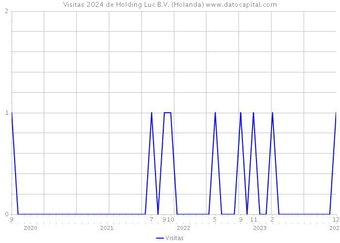 Visitas 2024 de Holding Luc B.V. (Holanda) 