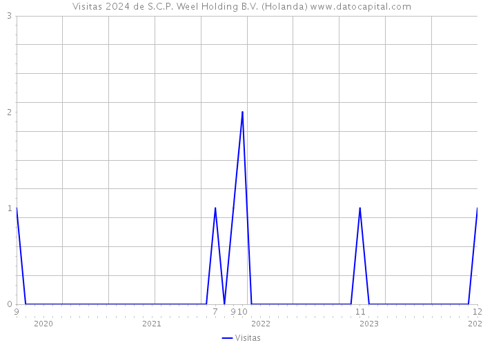 Visitas 2024 de S.C.P. Weel Holding B.V. (Holanda) 