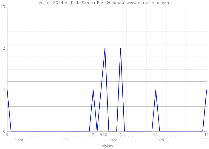 Visitas 2024 de Pelle Beheer B.V. (Holanda) 