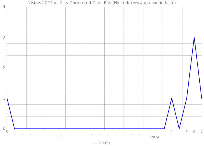 Visitas 2024 de Slits Onroerend Goed B.V. (Holanda) 