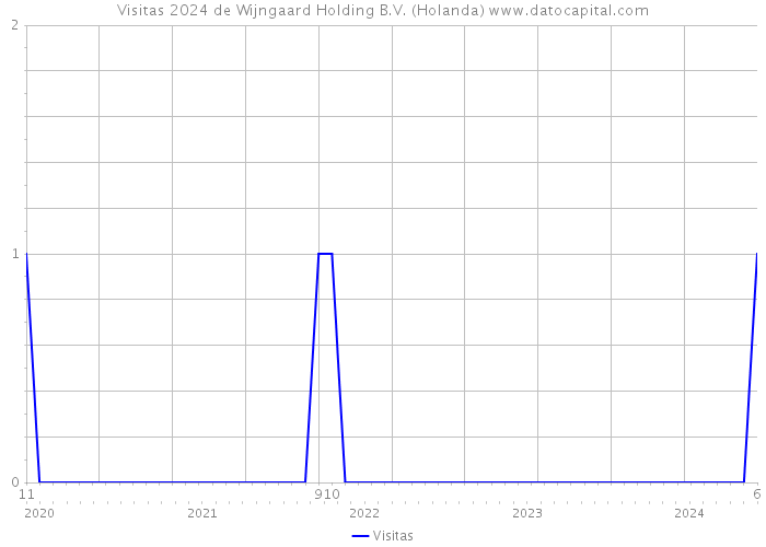 Visitas 2024 de Wijngaard Holding B.V. (Holanda) 