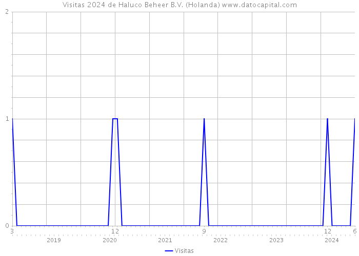 Visitas 2024 de Haluco Beheer B.V. (Holanda) 