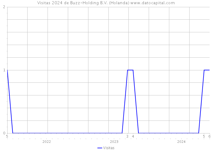 Visitas 2024 de Buzz-Holding B.V. (Holanda) 