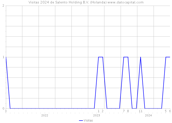 Visitas 2024 de Salento Holding B.V. (Holanda) 