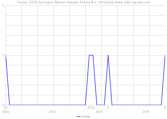 Visitas 2024 de Kuiper Beheer Nieuwe Pekela B.V. (Holanda) 