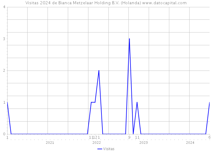 Visitas 2024 de Bianca Metzelaar Holding B.V. (Holanda) 