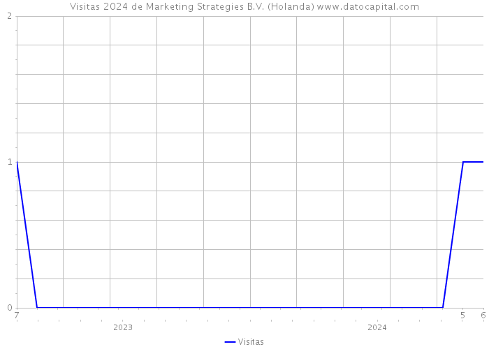 Visitas 2024 de Marketing Strategies B.V. (Holanda) 