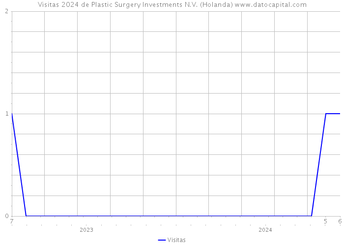 Visitas 2024 de Plastic Surgery Investments N.V. (Holanda) 