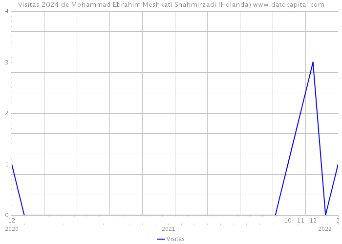 Visitas 2024 de Mohammad Ebrahim Meshkati Shahmirzadi (Holanda) 
