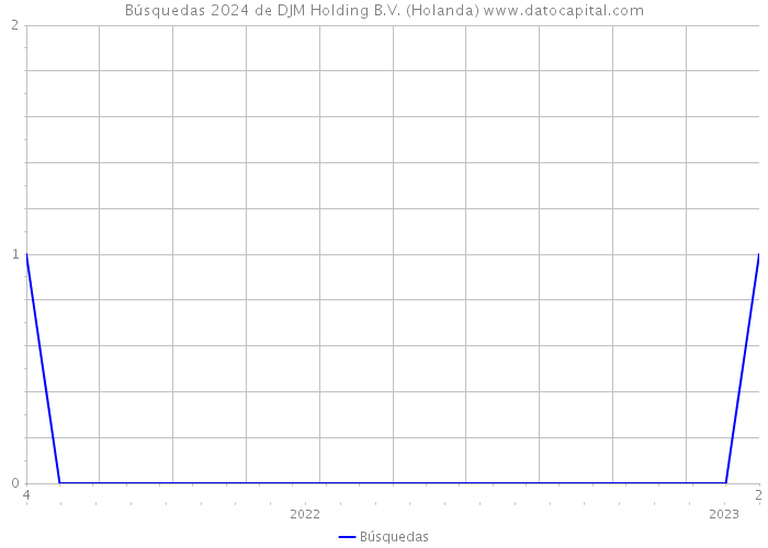 Búsquedas 2024 de DJM Holding B.V. (Holanda) 