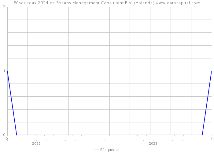 Búsquedas 2024 de Spaans Management Consultant B.V. (Holanda) 