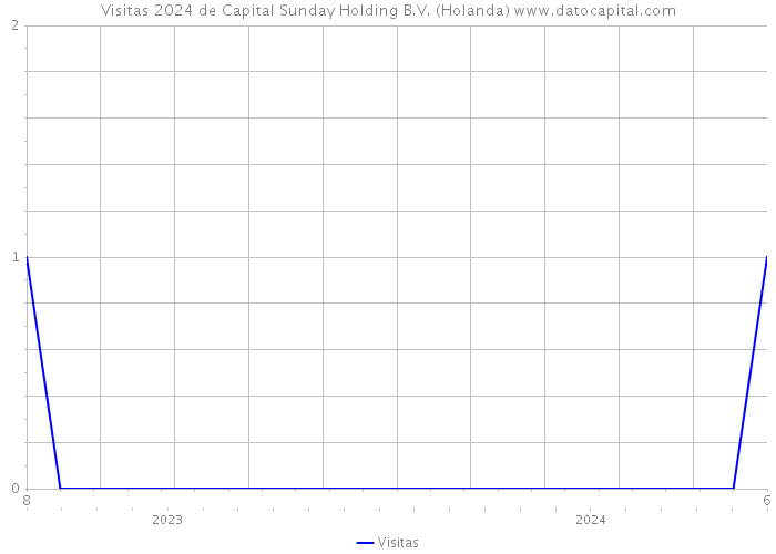 Visitas 2024 de Capital Sunday Holding B.V. (Holanda) 