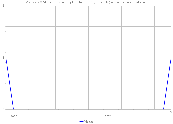 Visitas 2024 de Oorsprong Holding B.V. (Holanda) 