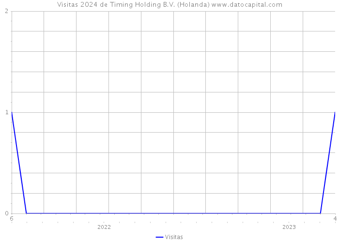 Visitas 2024 de Timing Holding B.V. (Holanda) 