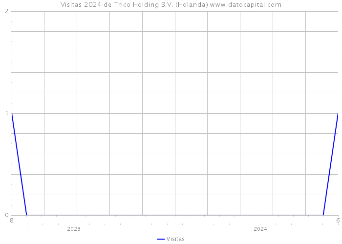 Visitas 2024 de Trico Holding B.V. (Holanda) 