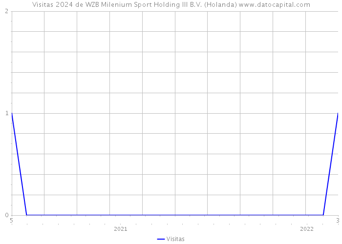 Visitas 2024 de WZB Milenium Sport Holding III B.V. (Holanda) 