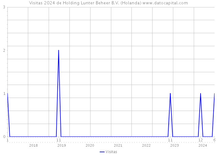 Visitas 2024 de Holding Lunter Beheer B.V. (Holanda) 