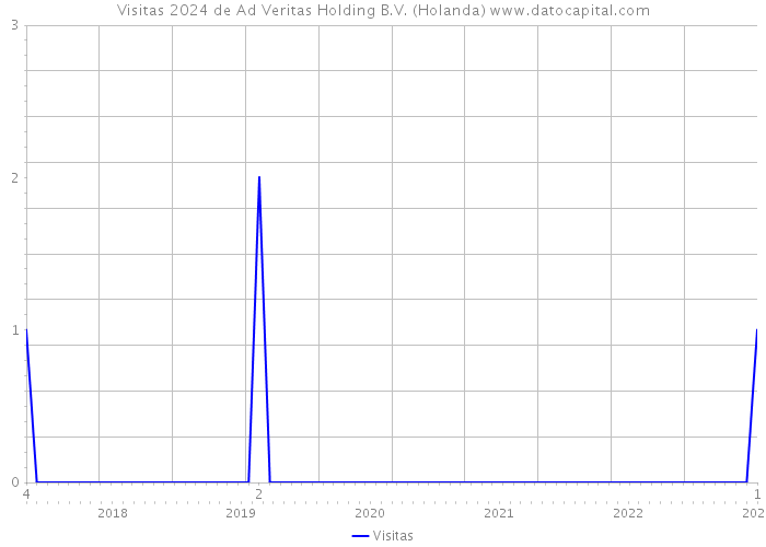 Visitas 2024 de Ad Veritas Holding B.V. (Holanda) 