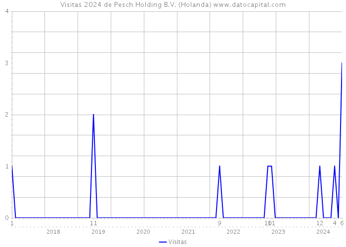 Visitas 2024 de Pesch Holding B.V. (Holanda) 