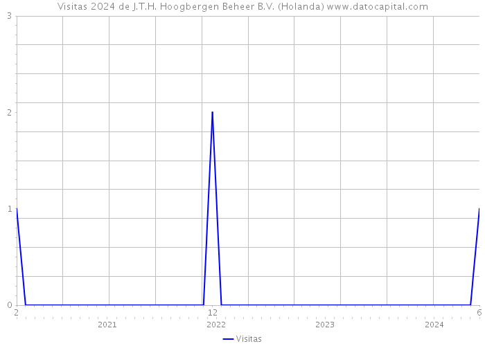 Visitas 2024 de J.T.H. Hoogbergen Beheer B.V. (Holanda) 