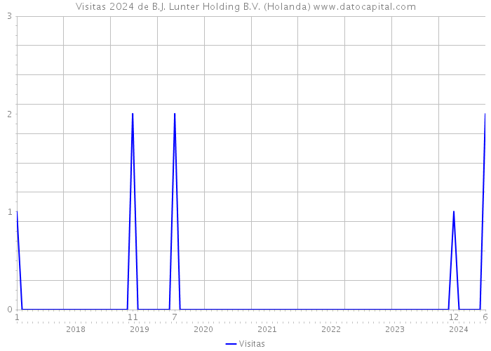 Visitas 2024 de B.J. Lunter Holding B.V. (Holanda) 
