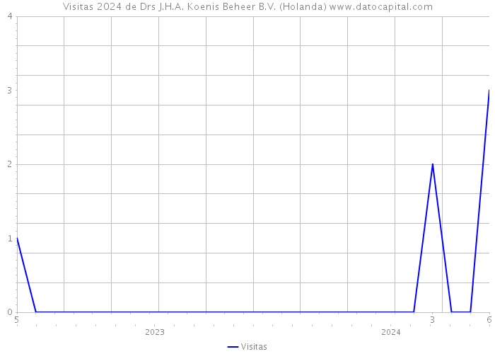 Visitas 2024 de Drs J.H.A. Koenis Beheer B.V. (Holanda) 