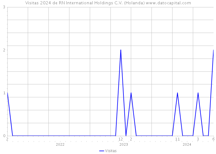 Visitas 2024 de RN International Holdings C.V. (Holanda) 