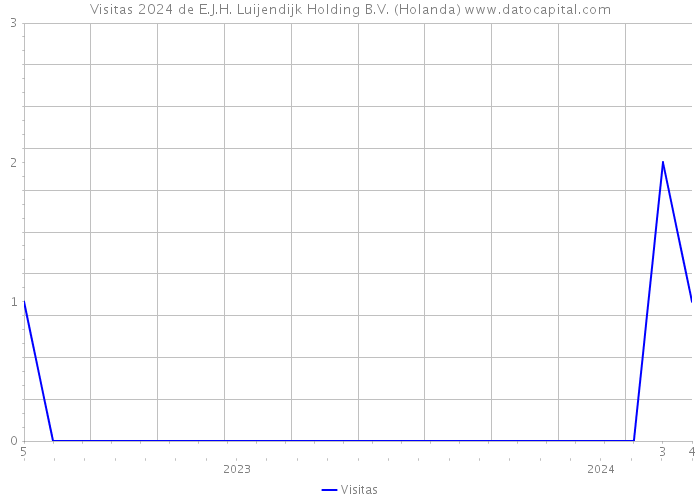 Visitas 2024 de E.J.H. Luijendijk Holding B.V. (Holanda) 
