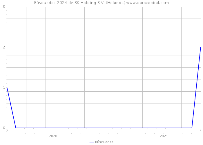 Búsquedas 2024 de BK Holding B.V. (Holanda) 