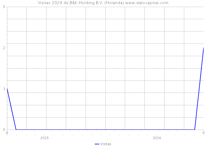 Visitas 2024 de B&K Holding B.V. (Holanda) 