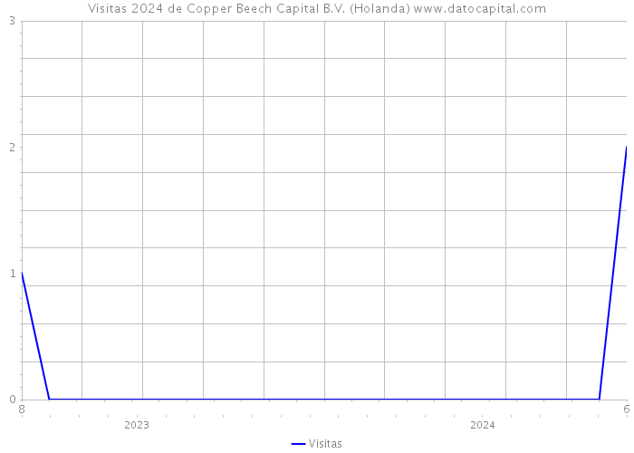 Visitas 2024 de Copper Beech Capital B.V. (Holanda) 