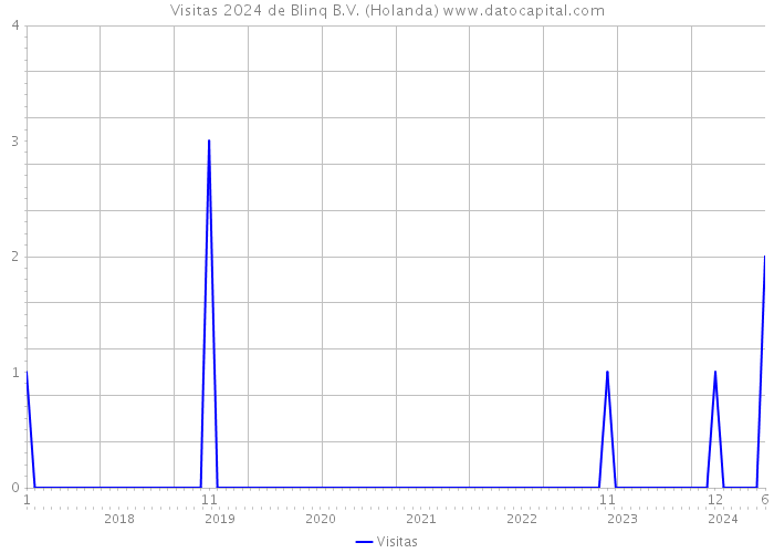 Visitas 2024 de Blinq B.V. (Holanda) 